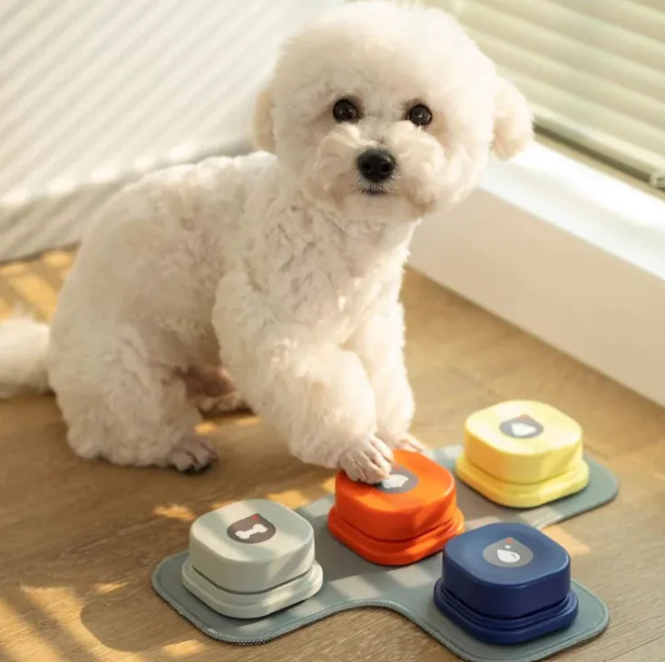 Pet Communication Button colors