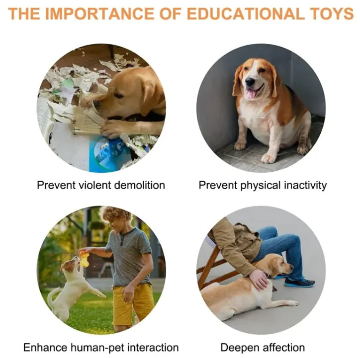 Pet Communication Button in use
