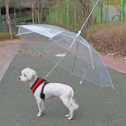 Dog Umbrella for small dogs