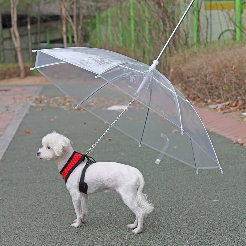 Dog Umbrella for small dogs