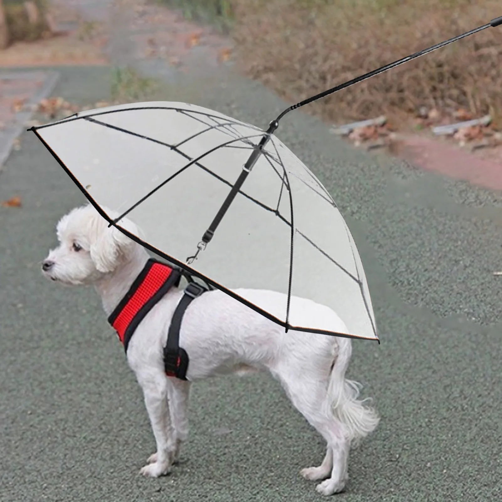 Dog Umbrella transparent clear