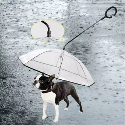 Dog Umbrella Leash Attachment